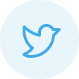 Twitter icon